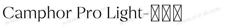 Camphor Pro Light字体转换